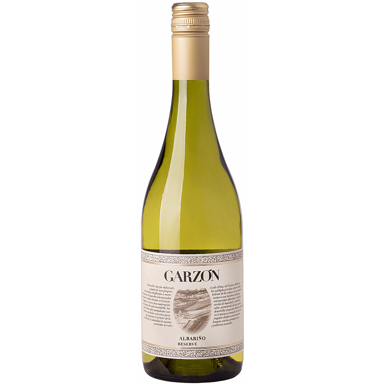 2025 Bodega Garzón Reserva Albariño