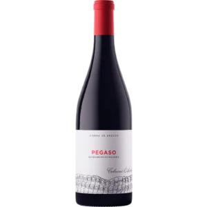 2021 Telmo Rodriguez Pegaso Barrancos de Pizarra