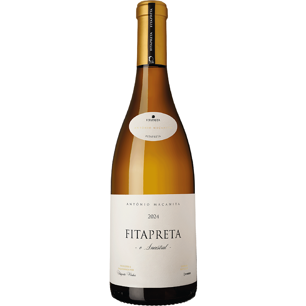 2024 FitaPreta Branco O Ancestral