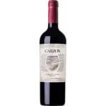 2023 Bodega Garzón Reserva Cabernet Franc