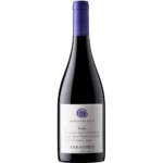 2021 Errazuriz Aconcagua Costa Syrah
